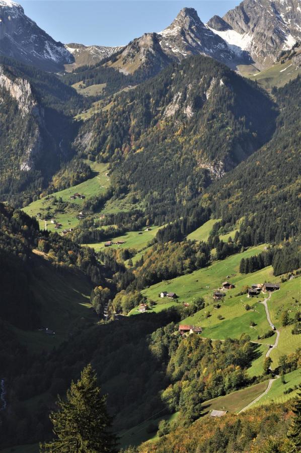 Ferienwohnung Ob Vierwaldsaettersee 伊森塔尔 外观 照片